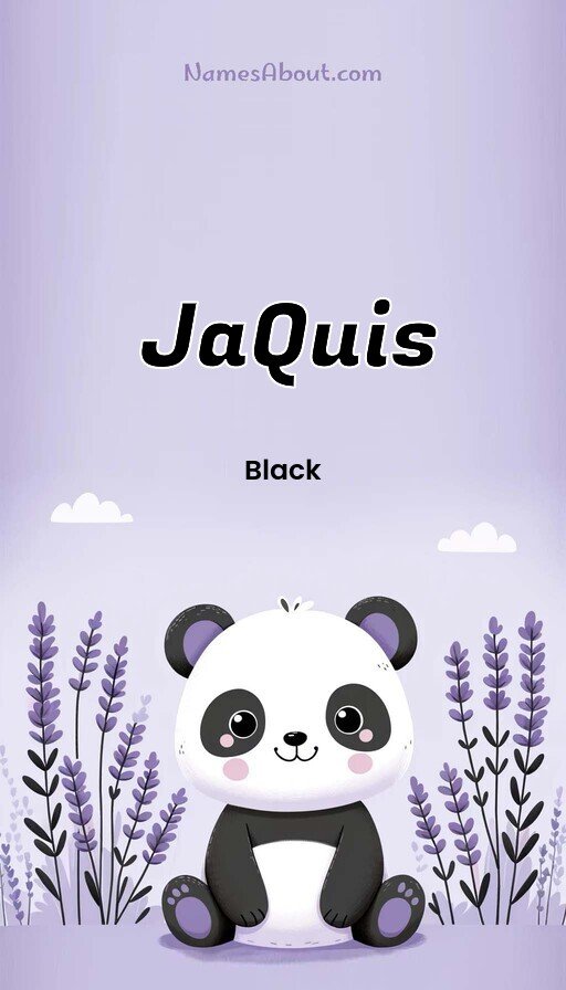 Meaning of JaQuis