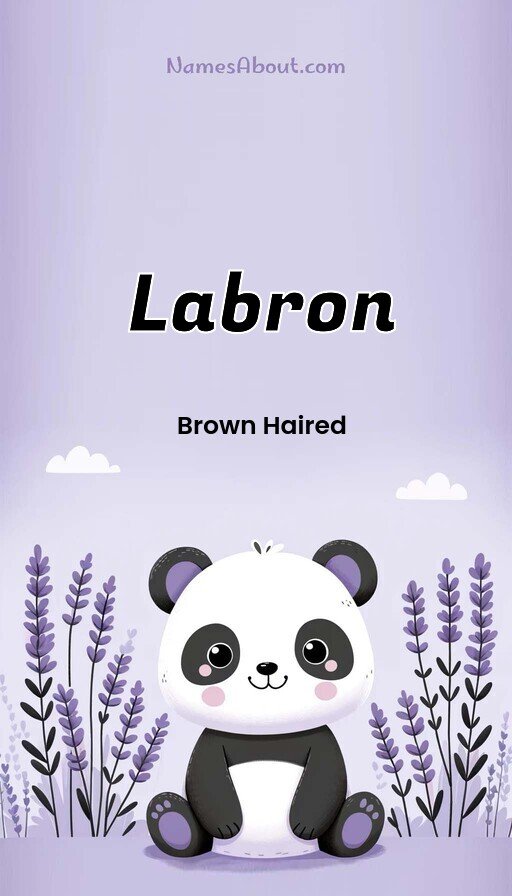 Meaning of Labron