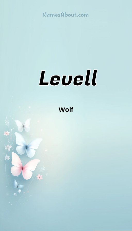 Meaning of Levell