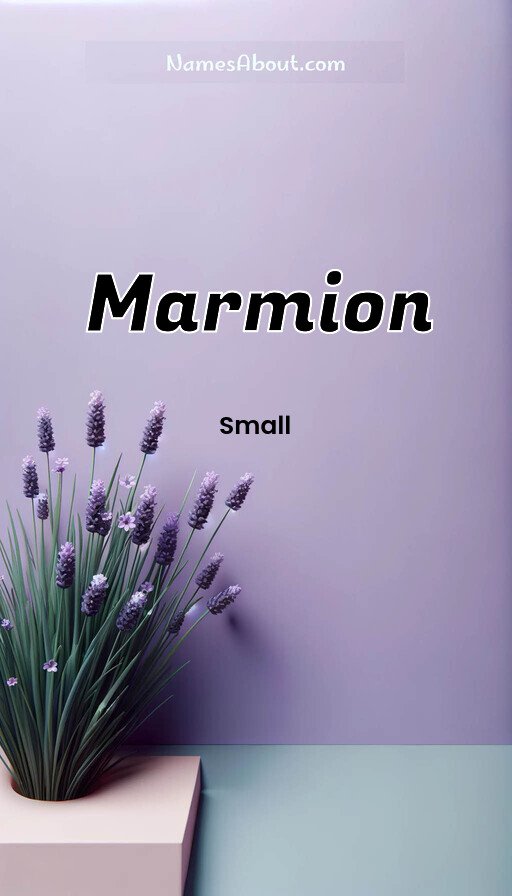 Meaning of Marmion