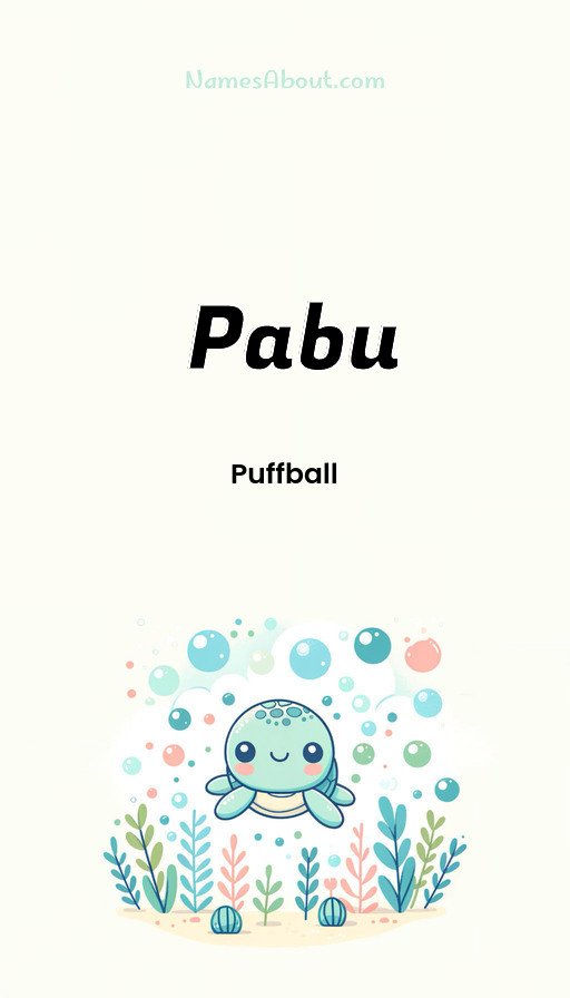 Meaning of Pabu