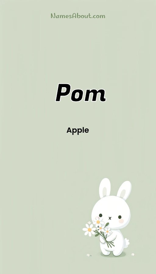 Meaning of Pom