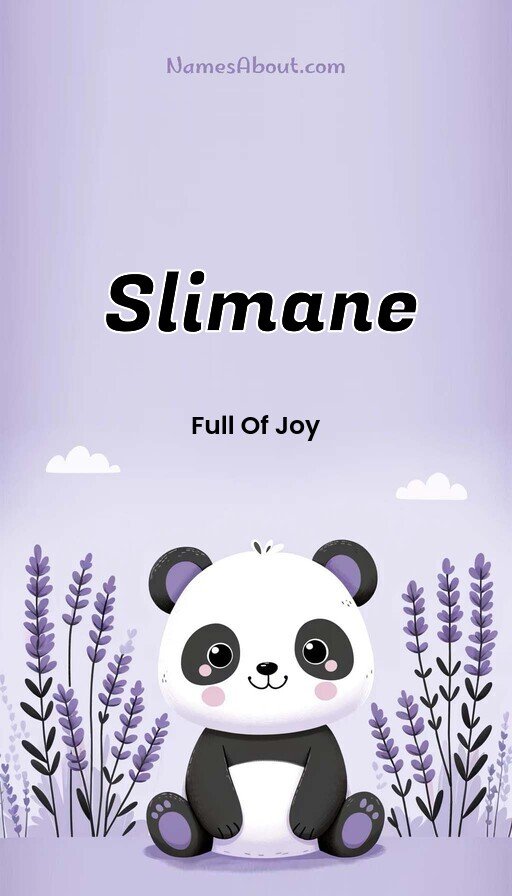Meaning of Slimane