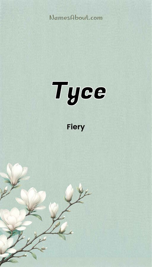 Meaning of Tyce