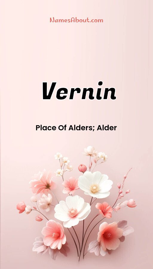Meaning of Vernin