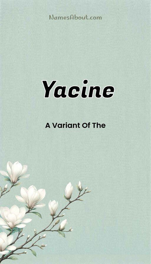 Meaning of Yacine