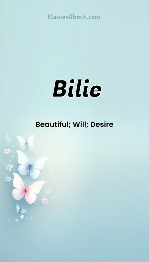 Meaning of Bilie