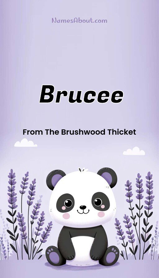 Meaning of Brucee