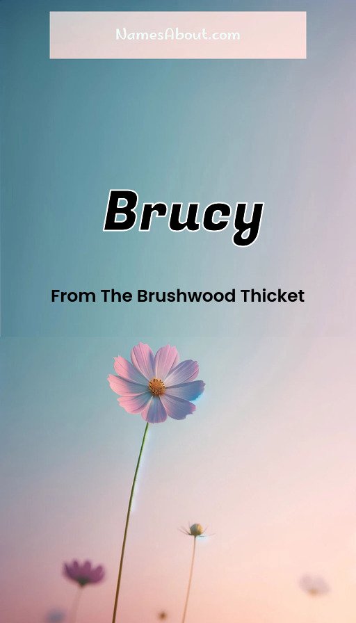 Meaning of Brucy
