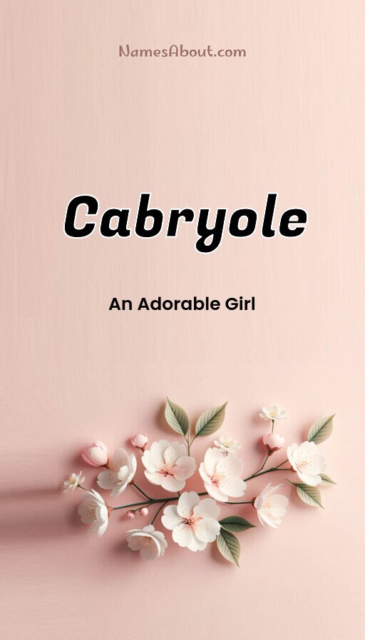 Meaning of Cabryole