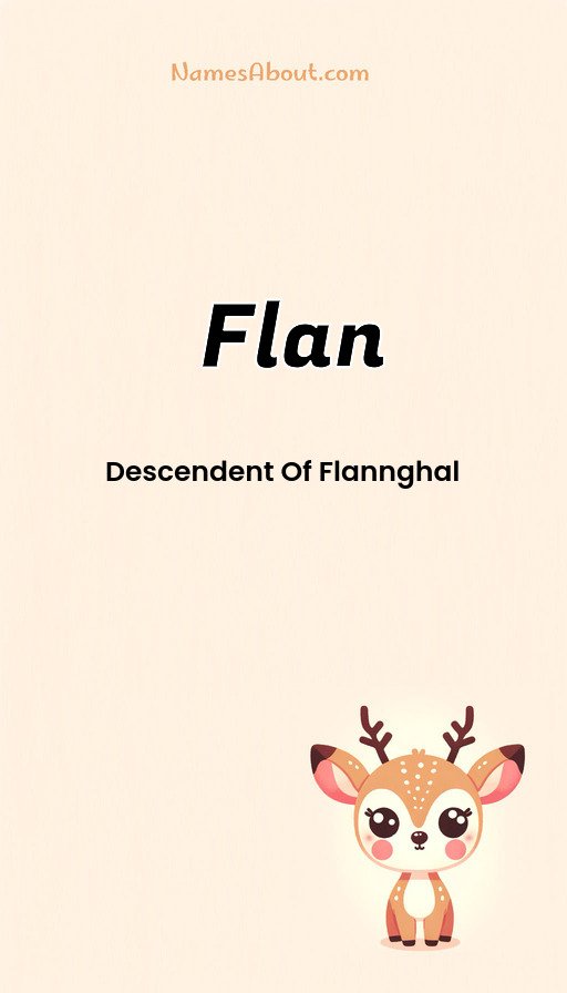 Meaning of Flan