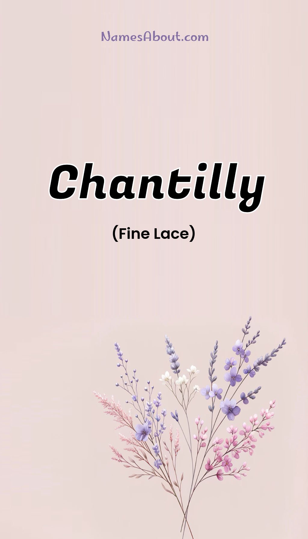 Chantilly name and meaning