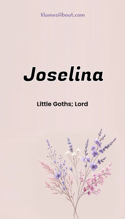 Meaning of Joselina