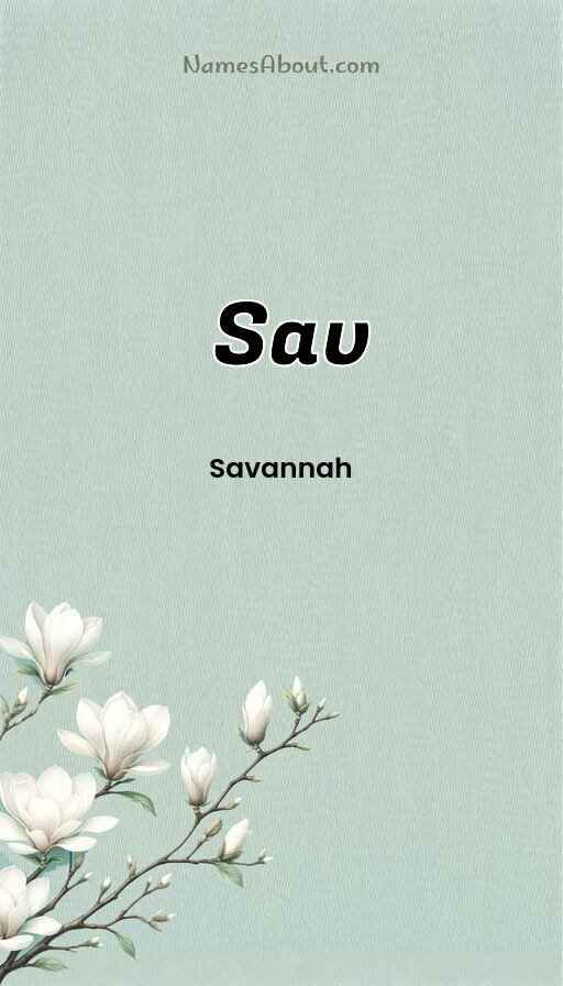 Meaning of Sav