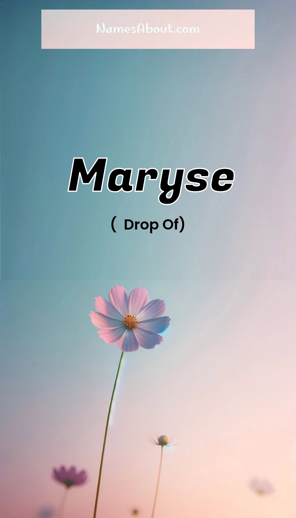 Maryse name and meaning