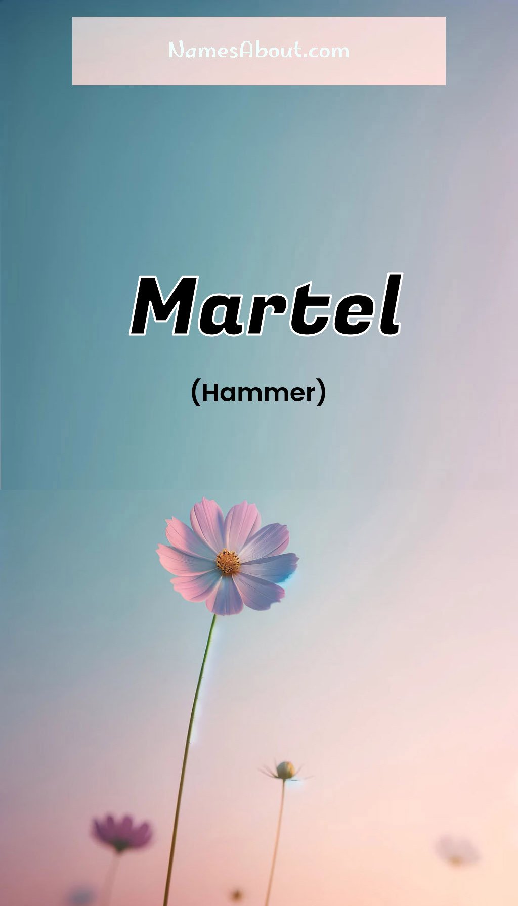 Martel name and meaning