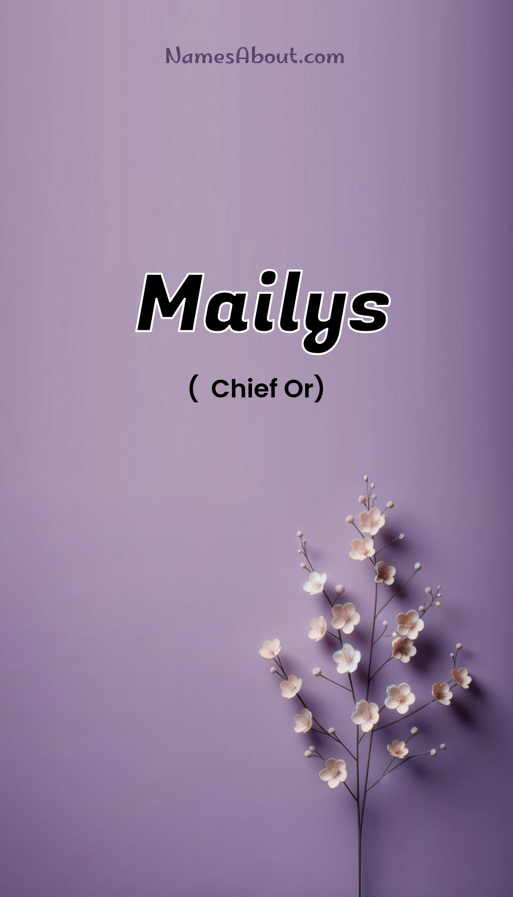 Mailys name and meaning