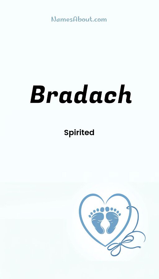 Meaning of Bradach