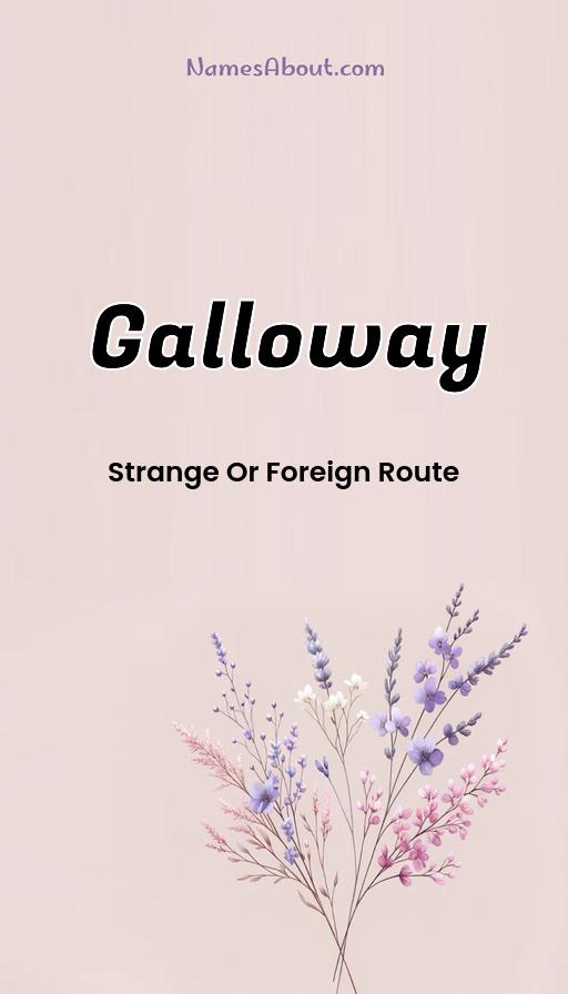 Meaning of Galloway