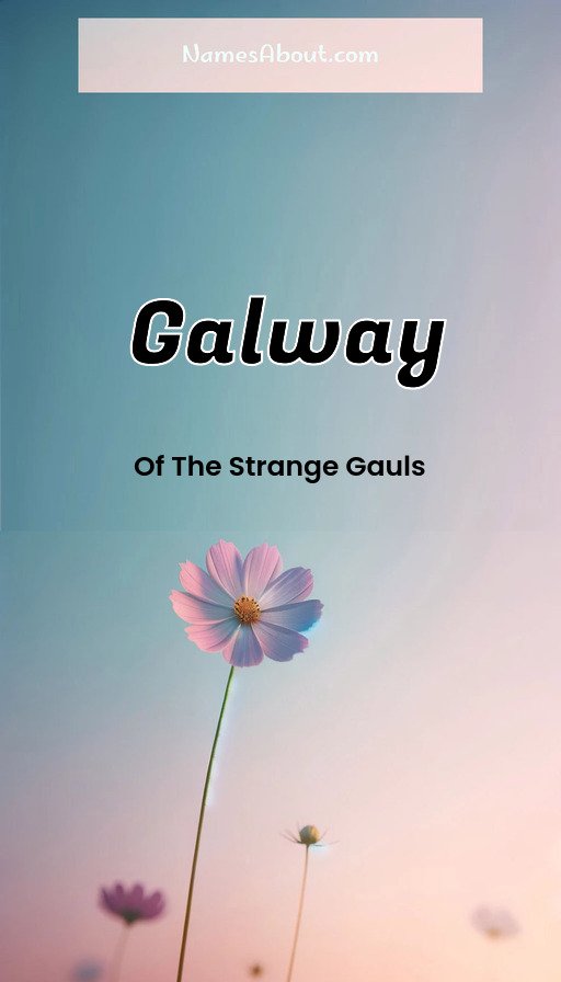 Meaning of Galway
