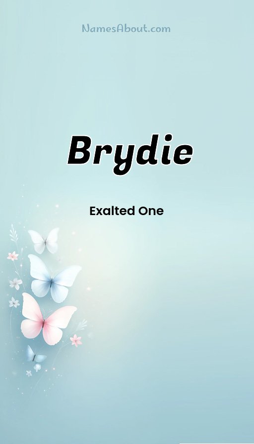 Meaning of Brydie