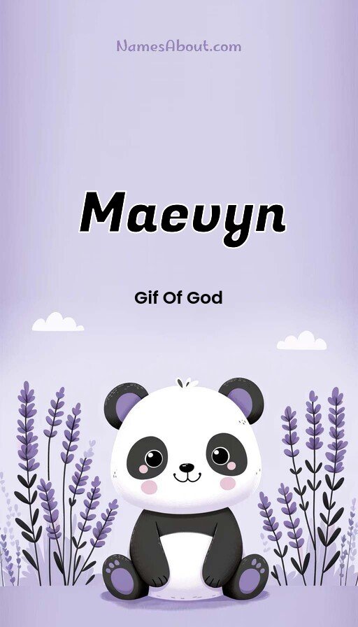 Meaning of Maevyn