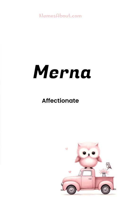 Meaning of Merna