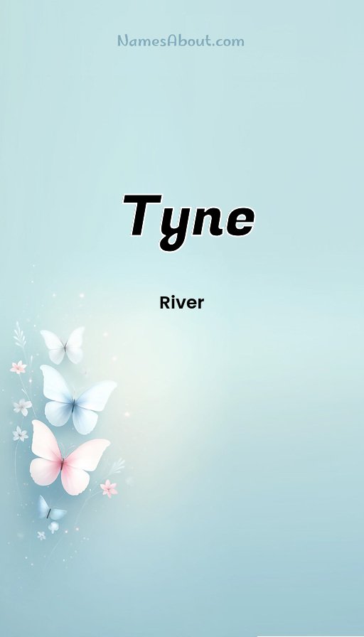 Meaning of Tyne
