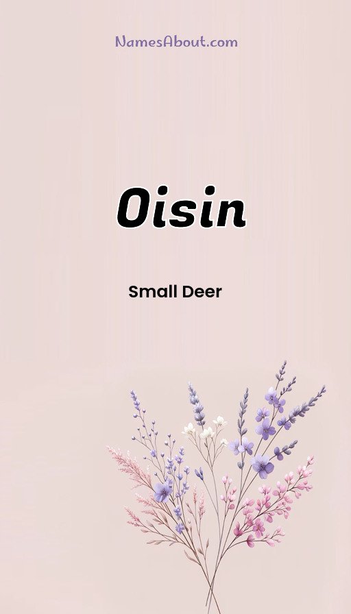 Meaning of Oisin