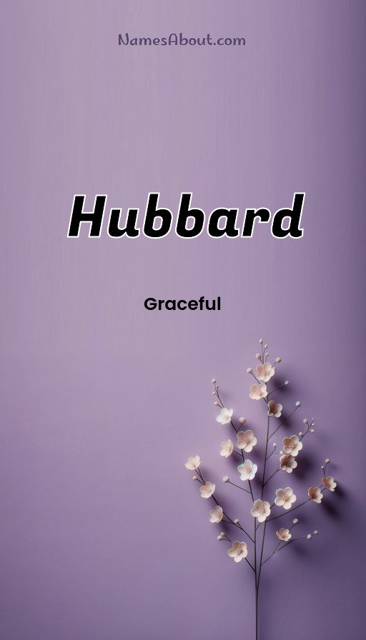 Meaning of Hubbard