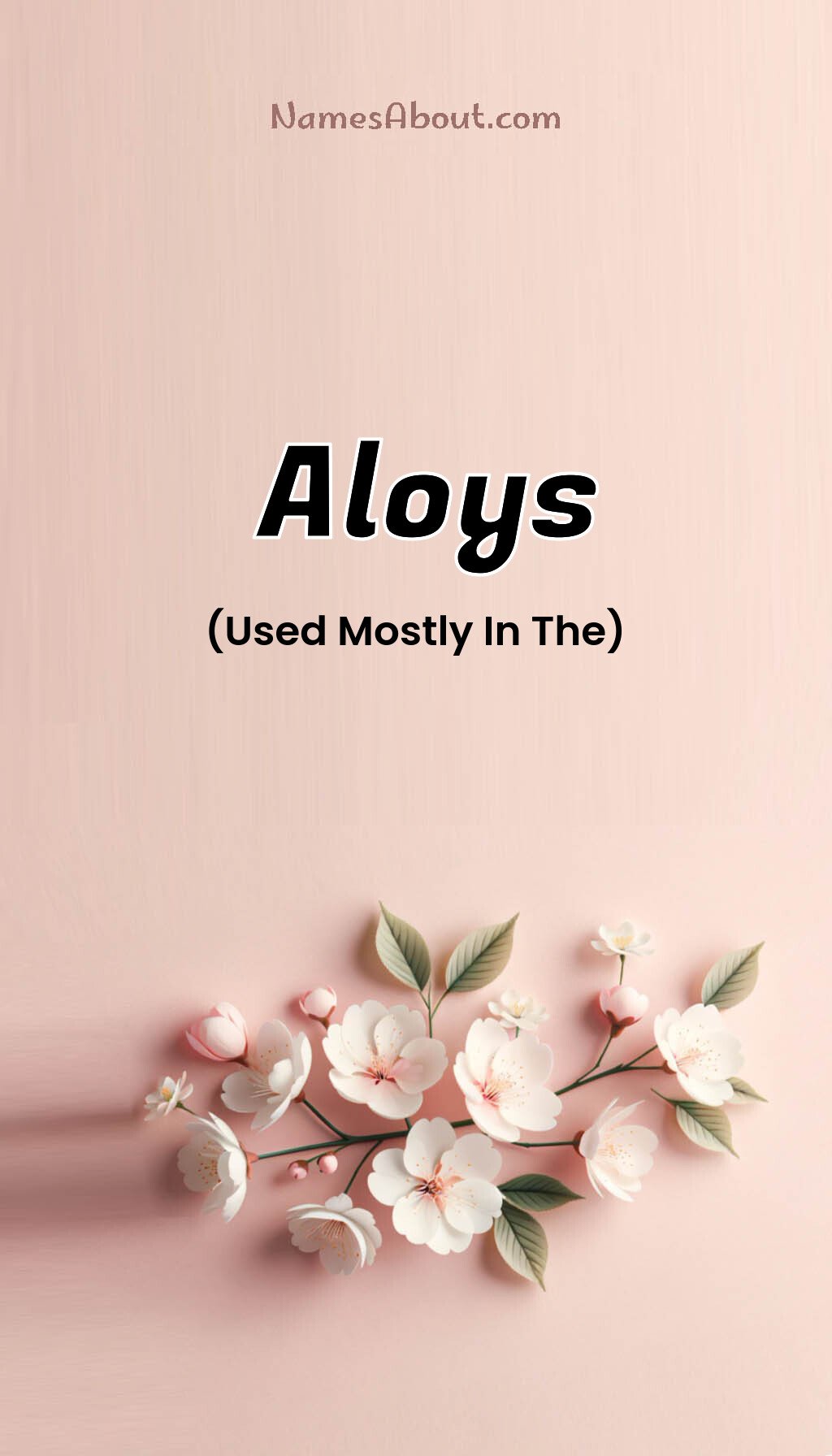 Aloys name and meaning