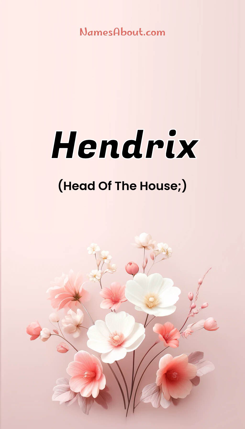 Hendrix name and meaning