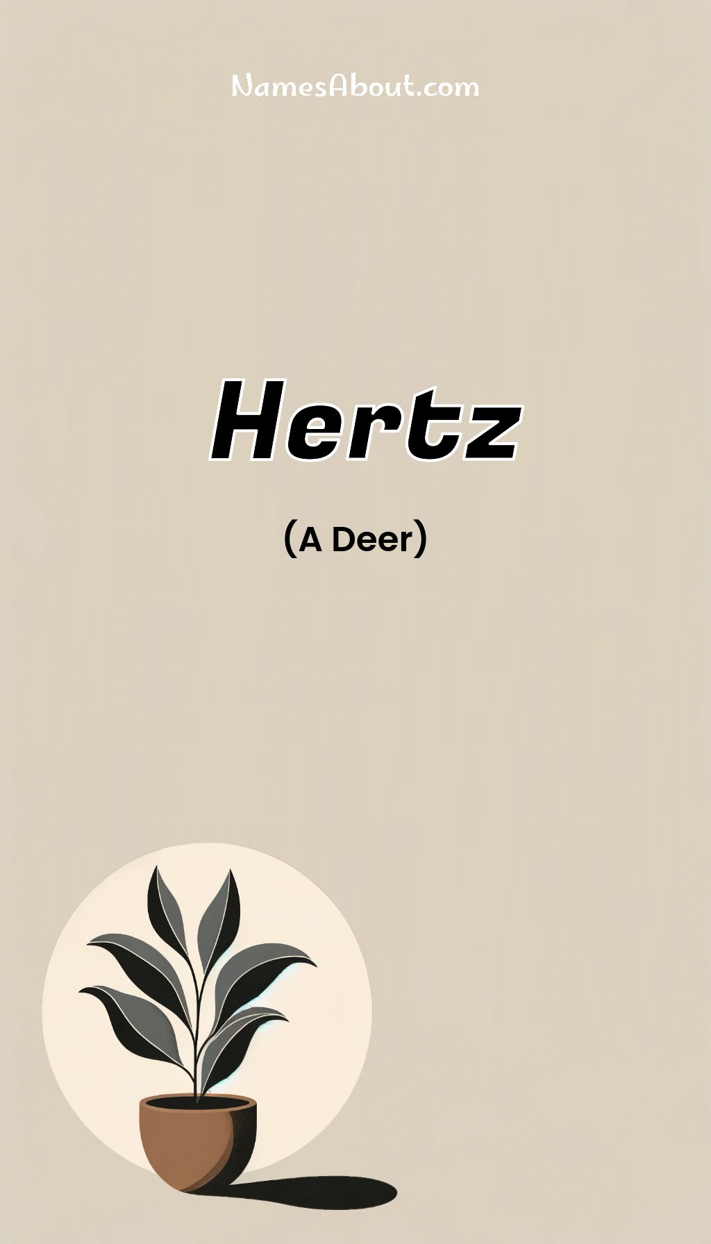 Hertz name and meaning