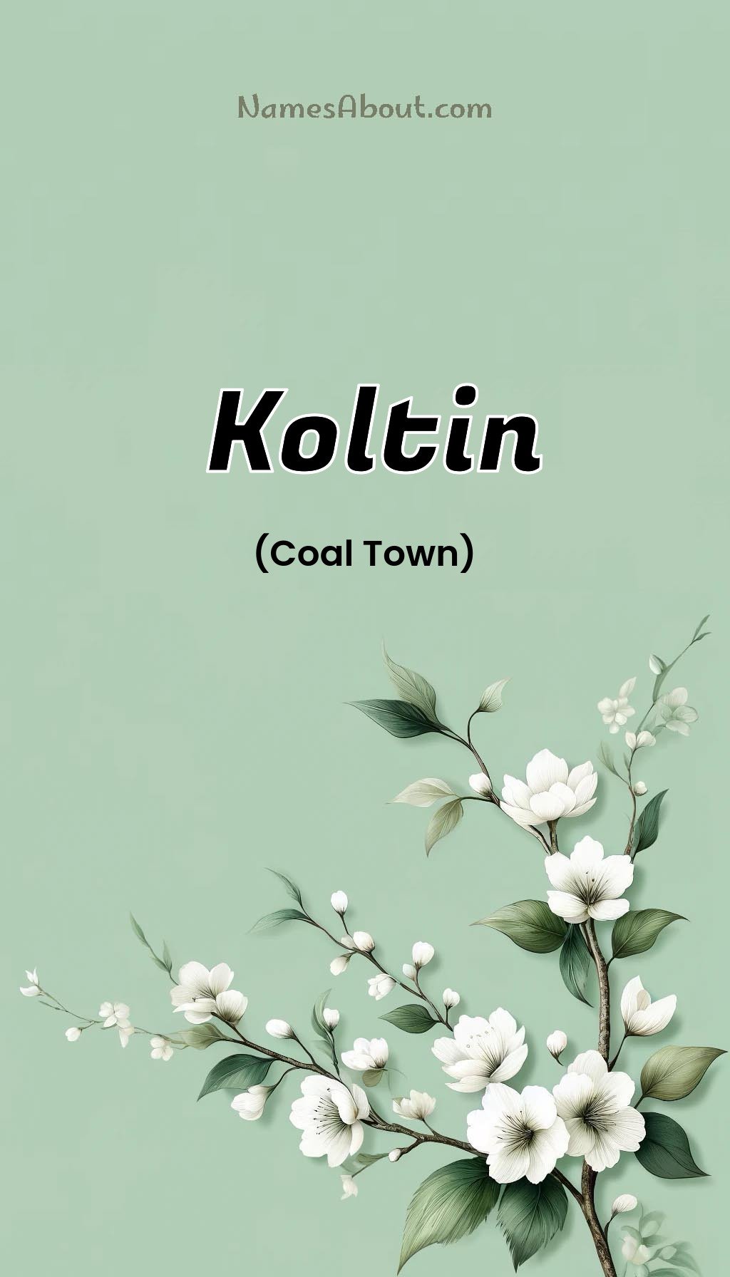 Koltin name and meaning