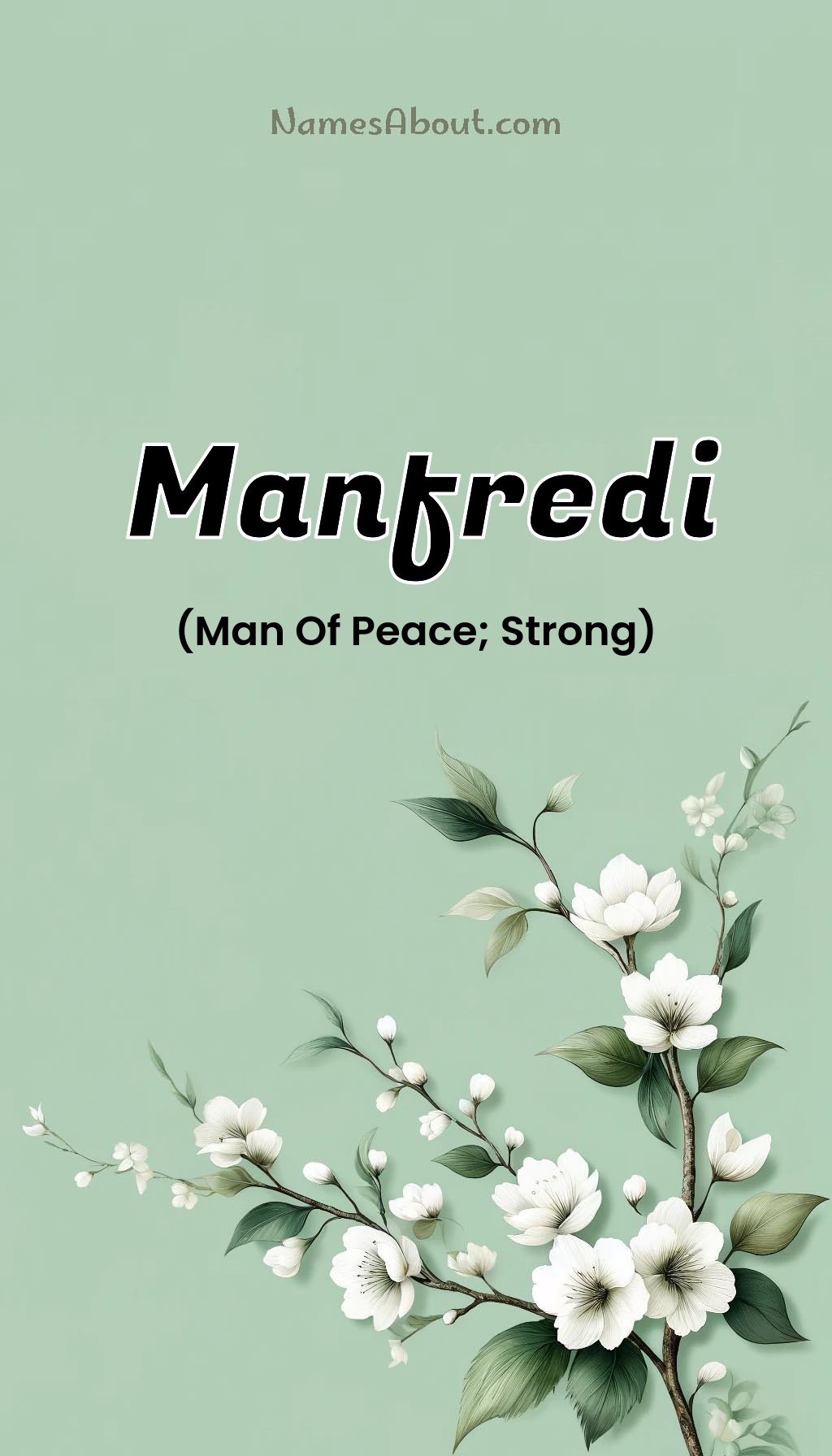 Manfredi name and meaning