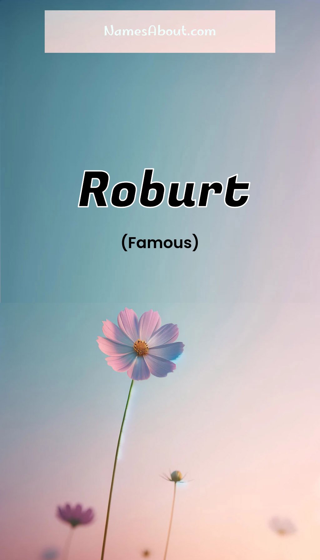 Roburt name and meaning