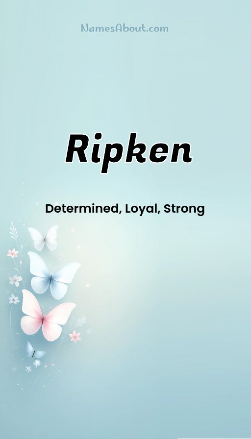 Meaning of Ripken
