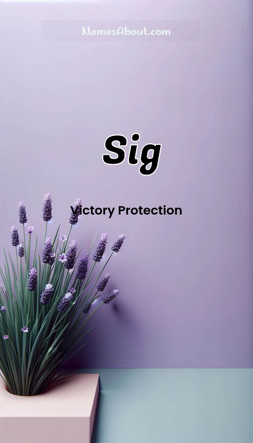 Meaning of Sig