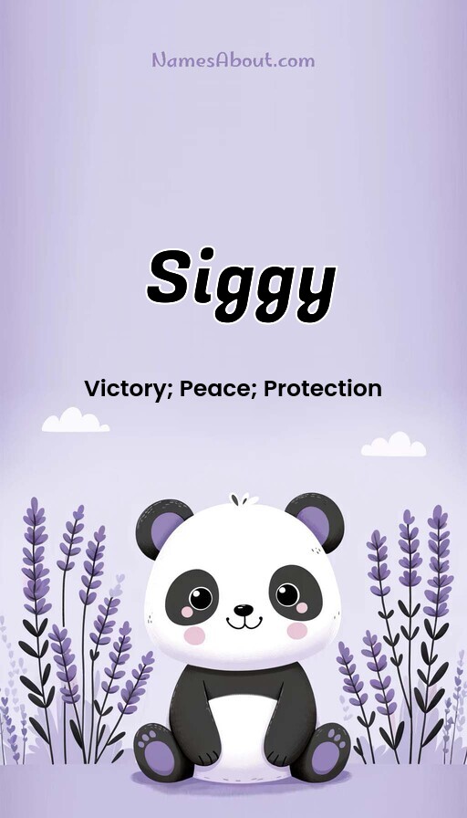 Meaning of Siggy