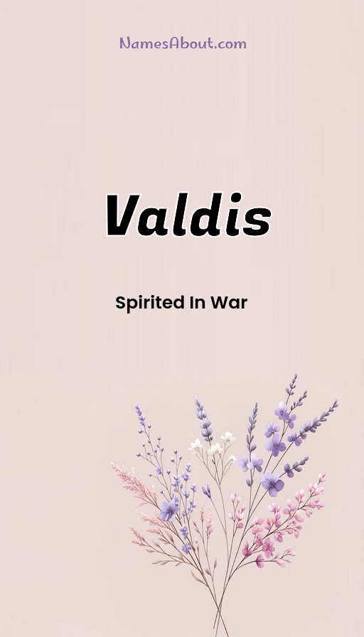 Meaning of Valdis