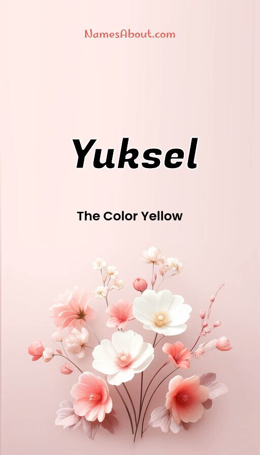 Meaning of Yuksel