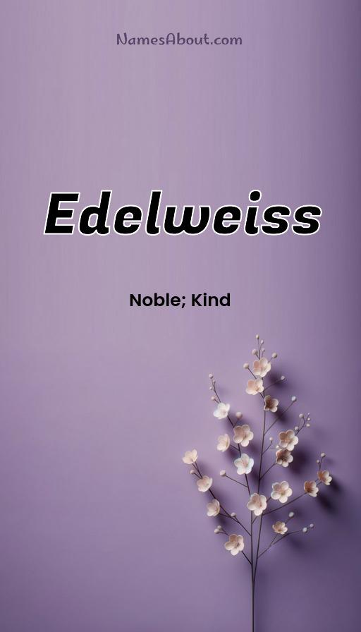 Illustration of Edelweiss