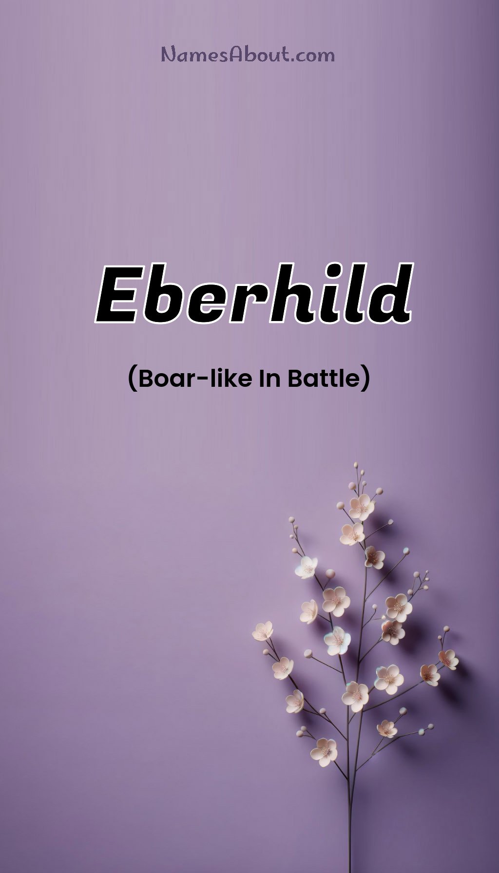 Eberhild name and meaning