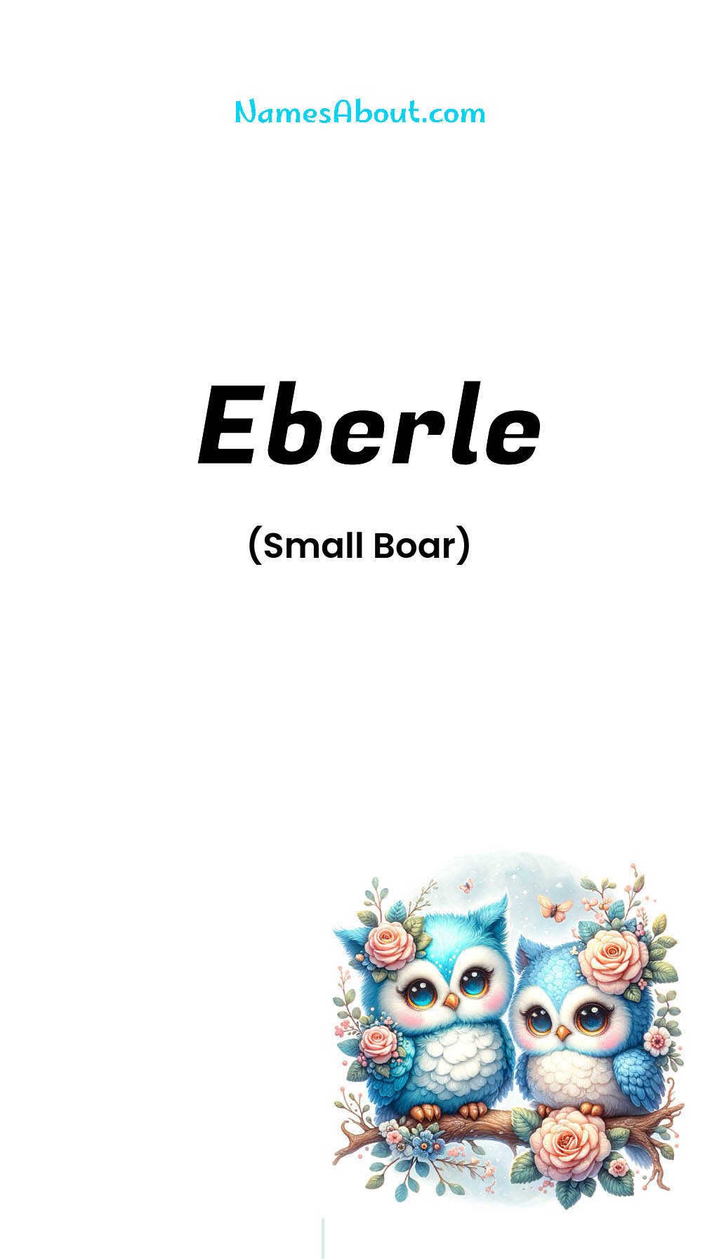 Eberle name and meaning