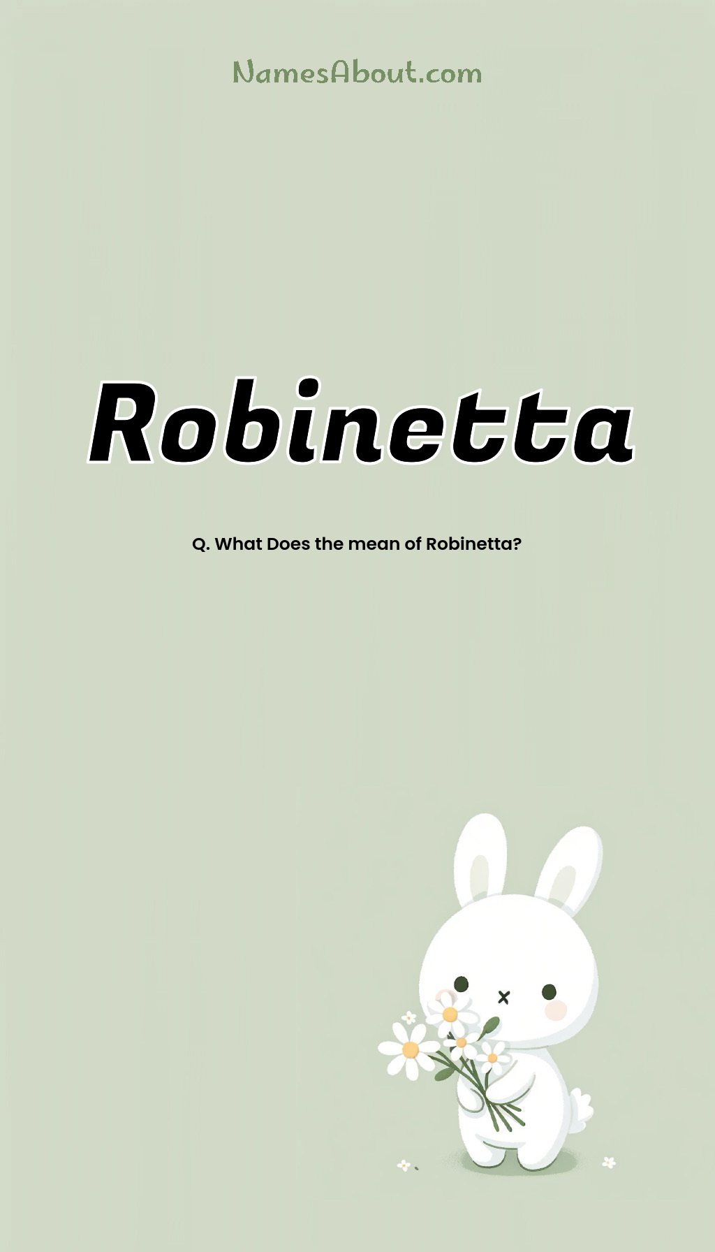 Robinetta name and meaning