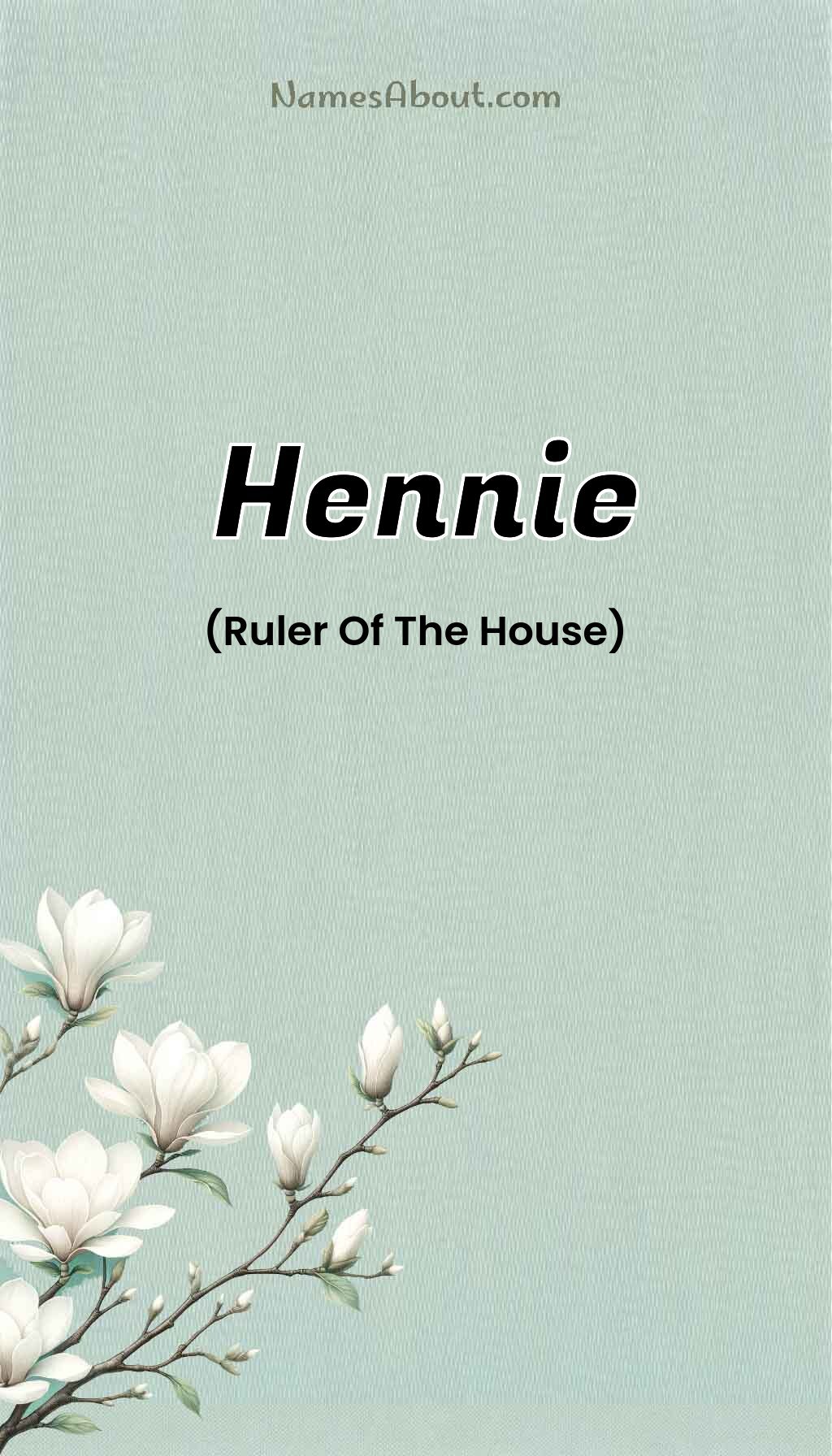 Hennie name and meaning