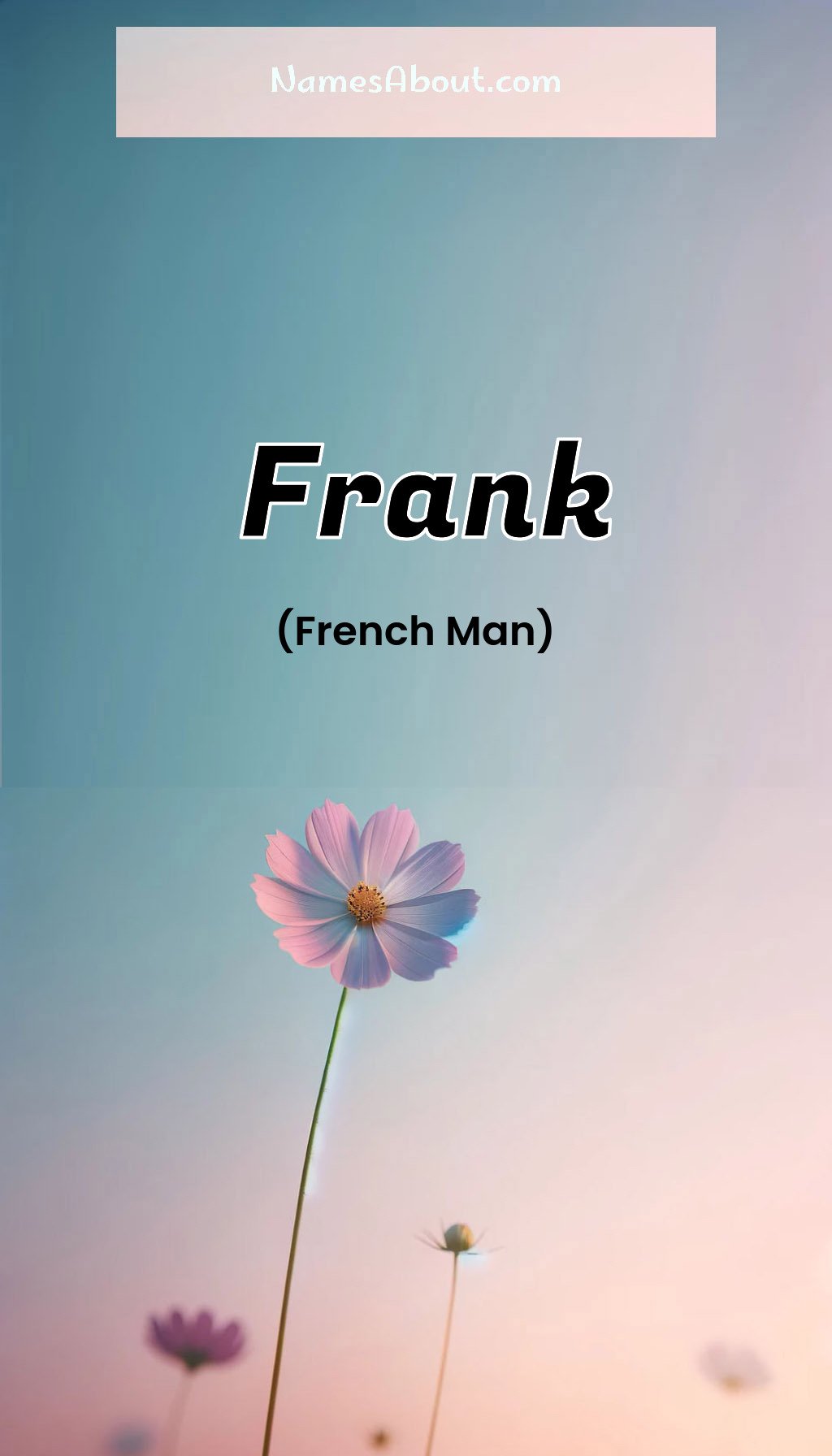 Frank name and meaning