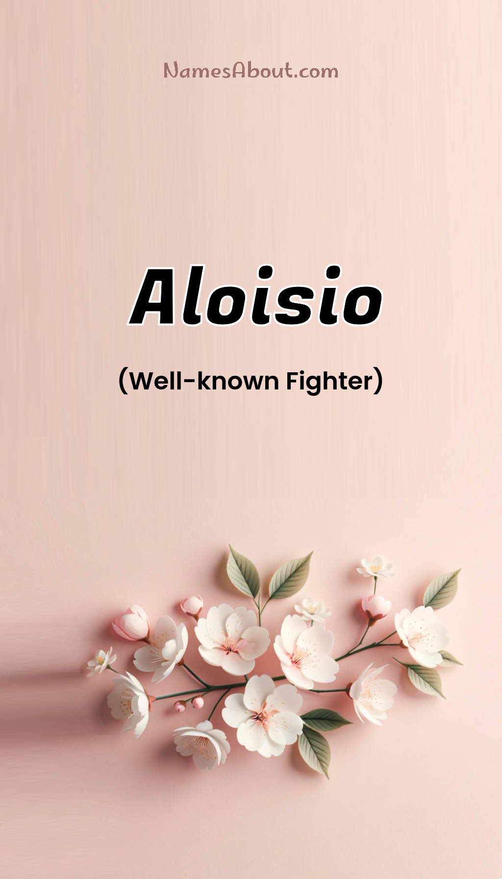 Aloisio name and meaning