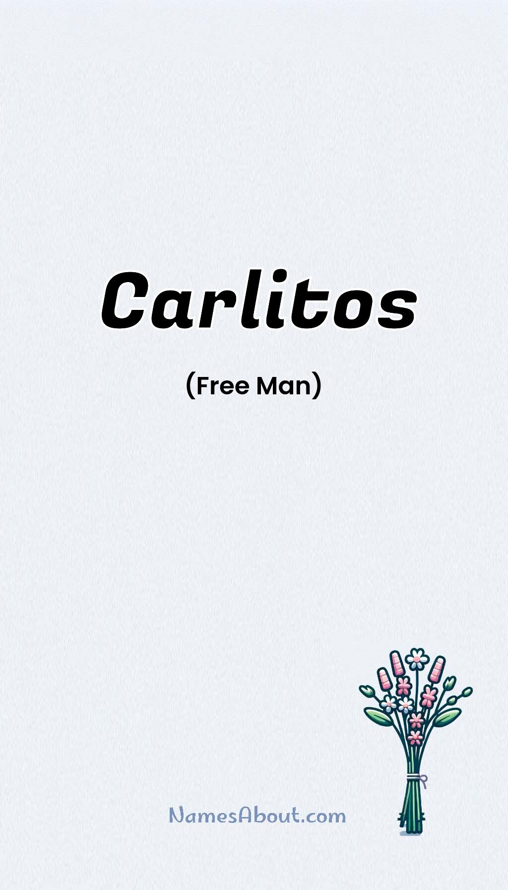 Carlitos name and meaning