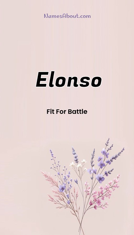 Meaning of Elonso